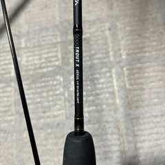 DAIWA TROUT X