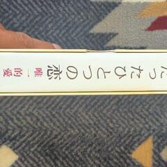 DVDセット　たったひとつの恋　中古の画像