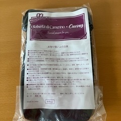 新品　ロベルタ　ディカメリーノポーチ黒の画像
