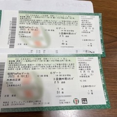 予定者あり　6月10日pay payドーム交流戦ソフトバンク　巨人戦　4枚　外野指定席　三塁側の画像