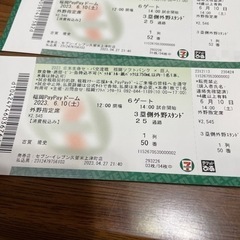 予定者あり　6月10日pay payドーム交流戦ソフトバンク　巨人戦　4枚　外野指定席　三塁側の画像