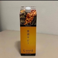 フィネス豊潤サジー