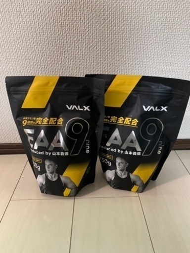 家電 VALX EAA
