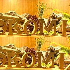【未経験OK！年齢・性別不問！主婦歓迎！】外構・造園工事・軽作業あり！シフト自由!(^^)!の画像