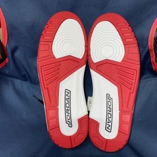 NIKEジョーダンレガシーローUS12 