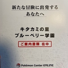 ポケットモンスター　ゼロの秘宝