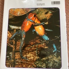 世界の危険生物の画像