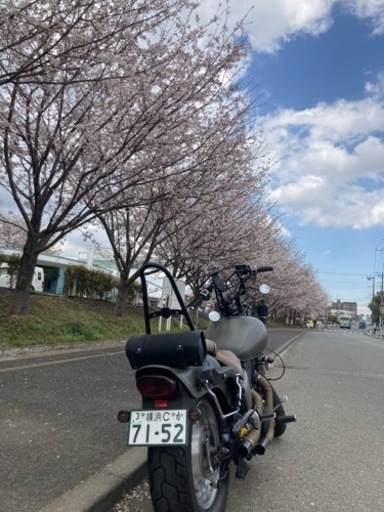 8/16〜8/18まで緊急値下げ　スズキ　デスペラード400 ワインダー　超希少