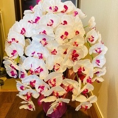 光触媒フラワー　造花　胡蝶蘭
