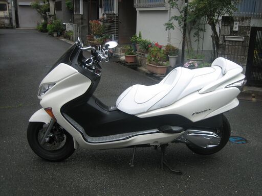 フォルツァZ後期型　美車　動画