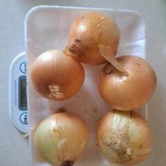 茨城県産 たまねぎ １kg 残りわずかです🧅