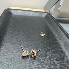 ピアス　ニの画像