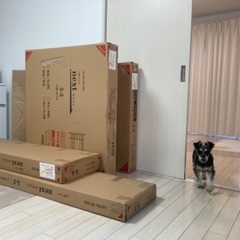2段ベッドの組み立て