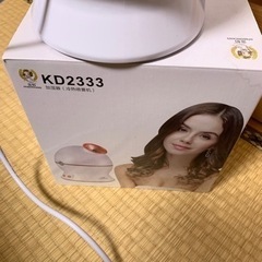 美顔器？加湿器？