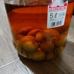 《お取引中》梅酒(2022年)差し上げますの画像