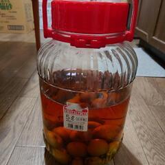 《お取引中》梅酒(2022年)差し上げますの画像