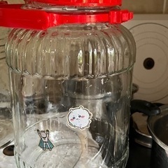 長期保存用　果実酒びん　4L ✖️2