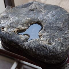 鑑賞石 8.0㎏ 溜り石 甌穴 水無川石 新潟県 景石 原石 水石