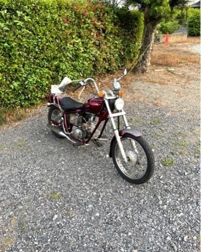 559.  動画あり　ホンダ　ジャズ　JAZZ 原付　バイク　50cc   車体