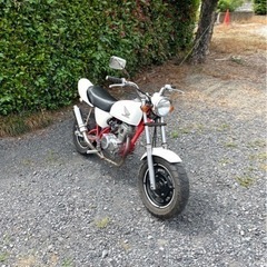 561.  動画あり　ホンダ　エイプ50 APE  原付　バイク...