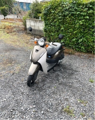 566.  動画あり　ホンダ　トゥデイ　AF67  原付　バイク　50cc   車体