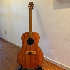 Takamineエレアコ PTU409K N