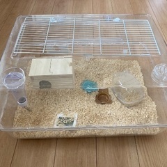 ハムスターケージ（一つ譲ります）の画像