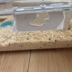ハムスターケージ（一つ譲ります）の画像