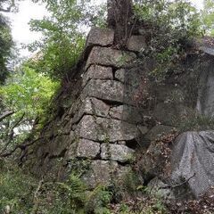 一緒に史跡巡りしませんか？