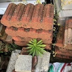 中古レンガ　無料で差し上げます（決まりました）の画像