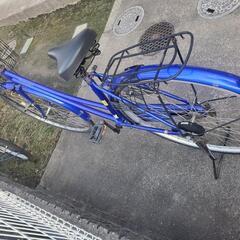 写真がら見てください