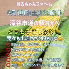 深谷市道の駅岡部🌽イベント