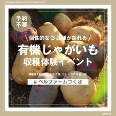 【6/3（土）～7/9（日）】個性的な3品種が採れる有機じゃがい...