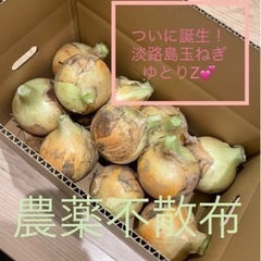 淡路島玉ねぎ　商品を置いていただける店舗探してます