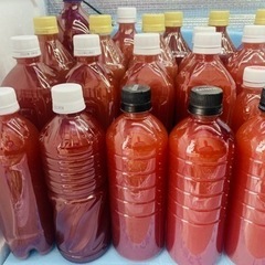 PSB 光合成細菌の画像