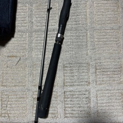 エギングロッドの画像