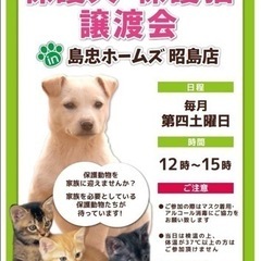 【保護犬・猫譲渡会 in 島忠ホームズ昭島店】