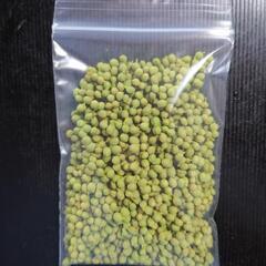 期間限定商品！京都北山京北の天然山椒　軸取り実山椒50ｇ入①