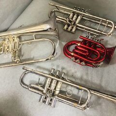 最短でトランペット上手くなりましょう！初心者〜中級者歓迎／千葉・...