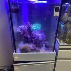 海水魚水槽　45キューブオーバーフロー　フルセット