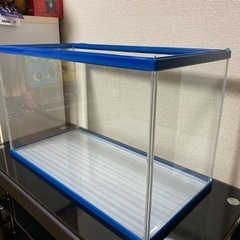 【美品】60cm水槽 青枠フレーム 昭和物 レア物の画像