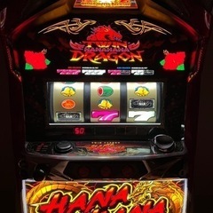 ツインドラゴンハナハナセットの画像