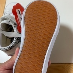 VANS スニーカーの画像