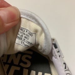 VANS スニーカーの画像