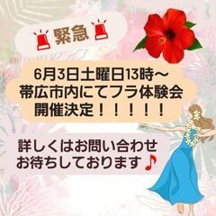 🚨緊急🚨　6月も開催‼️　ハワイアンフラ体験会🌺