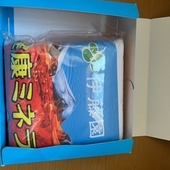 ミネラル麦茶・冷感ひんやり寝袋　新品