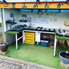 里山めだか無人販売所　