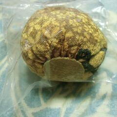 フクロウ 置物 インテリア お譲りします。の画像