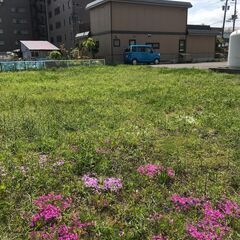草刈の御要望はございませんか？