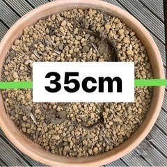 テラコッタ　素焼き　植木鉢　35cmの画像